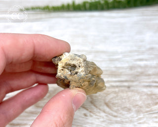 Cheval de Frise Quartz - Namibia #2