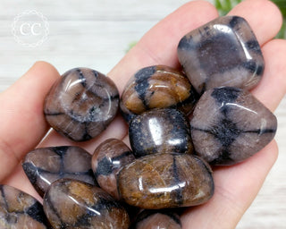 Chiastolite Tumbled Crystal