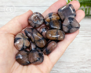 Chiastolite Tumbled Crystals in hand