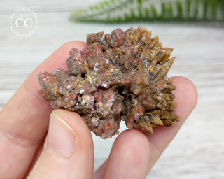 Dogtooth Calcite Specimen #3