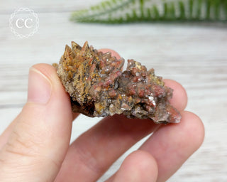 Dogtooth Calcite Specimen #3