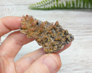 Dogtooth Calcite Specimen #6