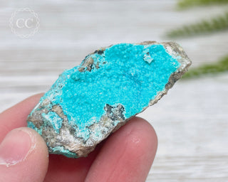 Chrysocolla Specimen - New Mexico #2