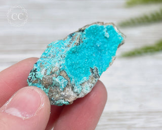 Chrysocolla Specimen - New Mexico #2