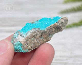 Chrysocolla Specimen - New Mexico #2