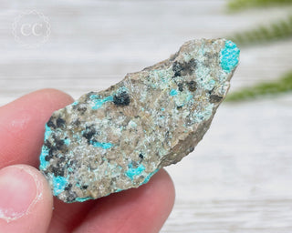 Chrysocolla Specimen - New Mexico #2