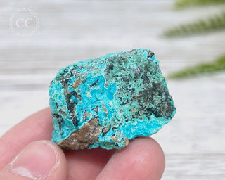 Chrysocolla Specimen - New Mexico #14