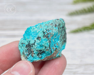 Chrysocolla Specimen - New Mexico #14