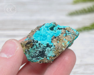 Chrysocolla Specimen - New Mexico #14