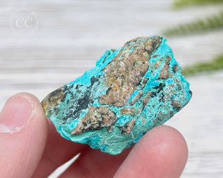 Chrysocolla Specimen - New Mexico #14