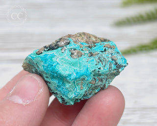 Chrysocolla Specimen - New Mexico #14