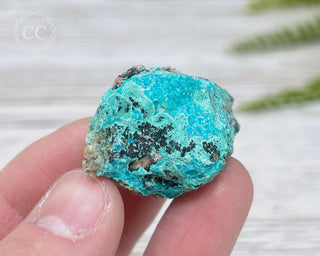 Chrysocolla Specimen - New Mexico #14