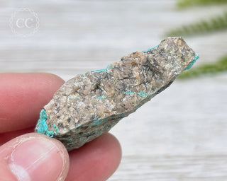 Chrysocolla Specimen - New Mexico #2