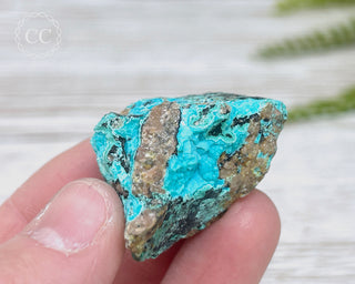 Chrysocolla Specimen - New Mexico #14
