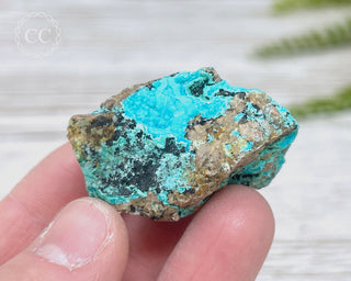 Chrysocolla Specimen - New Mexico #14