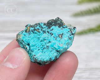 Chrysocolla Specimen - New Mexico #15