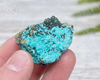 Chrysocolla Specimen - New Mexico #15