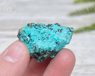 Chrysocolla Specimen - New Mexico #15