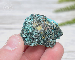Chrysocolla Specimen - New Mexico #15