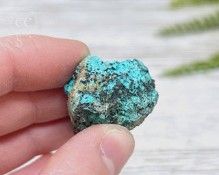Chrysocolla Specimen - New Mexico #15