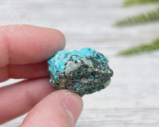 Chrysocolla Specimen - New Mexico #15