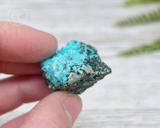 Chrysocolla Specimen - New Mexico #15