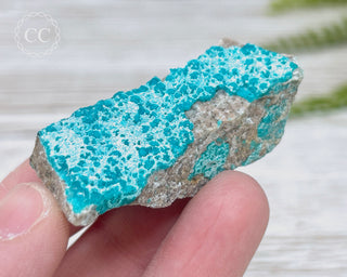 Chrysocolla Specimen - New Mexico #16