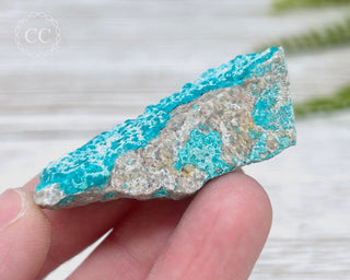 Chrysocolla Specimen - New Mexico #16