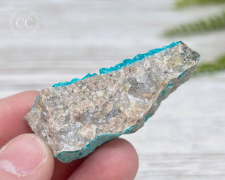 Chrysocolla Specimen - New Mexico #16