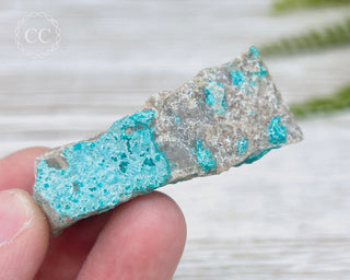 Chrysocolla Specimen - New Mexico #16