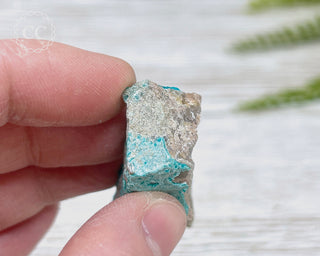 Chrysocolla Specimen - New Mexico #16