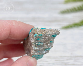 Chrysocolla Specimen - New Mexico #16