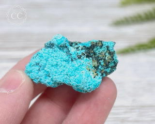 Chrysocolla Specimen - New Mexico #17