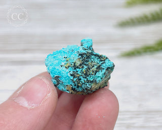 Chrysocolla Specimen - New Mexico #17