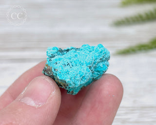 Chrysocolla Specimen - New Mexico #17