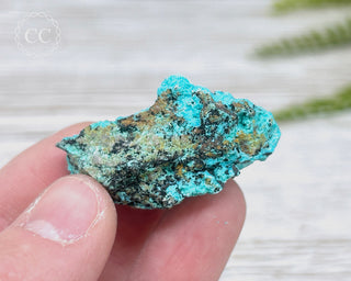 Chrysocolla Specimen - New Mexico #17