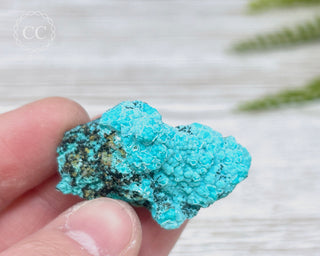 Chrysocolla Specimen - New Mexico #17