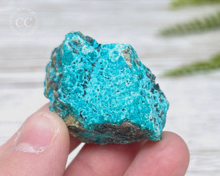 Chrysocolla Specimen - New Mexico #19