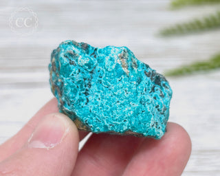 Chrysocolla Specimen - New Mexico #19