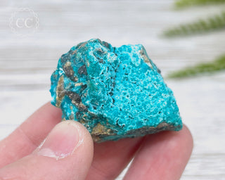 Chrysocolla Specimen - New Mexico #19