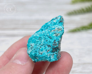 Chrysocolla Specimen - New Mexico #19