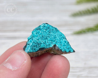Chrysocolla Specimen - New Mexico #1