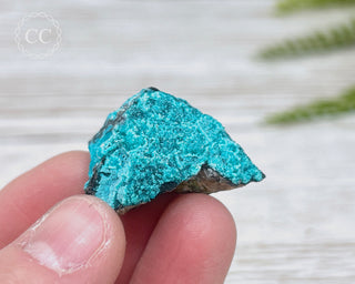 Chrysocolla Specimen - New Mexico #1