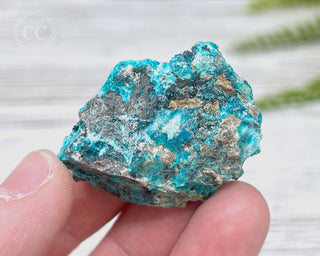 Chrysocolla Specimen - New Mexico #19