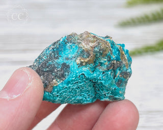 Chrysocolla Specimen - New Mexico #19