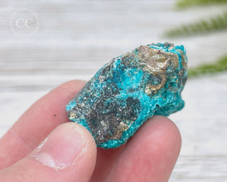 Chrysocolla Specimen - New Mexico #19