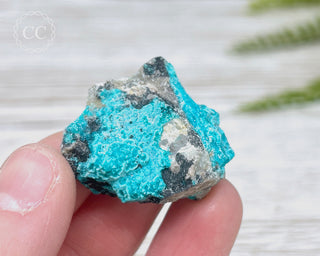 Chrysocolla Specimen - New Mexico #4
