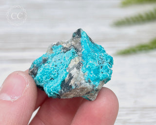 Chrysocolla Specimen - New Mexico #4