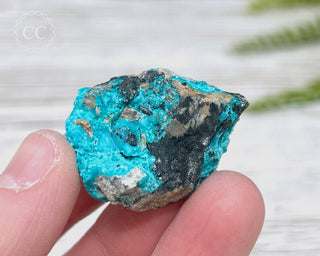 Chrysocolla Specimen - New Mexico #4