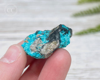 Chrysocolla Specimen - New Mexico #4